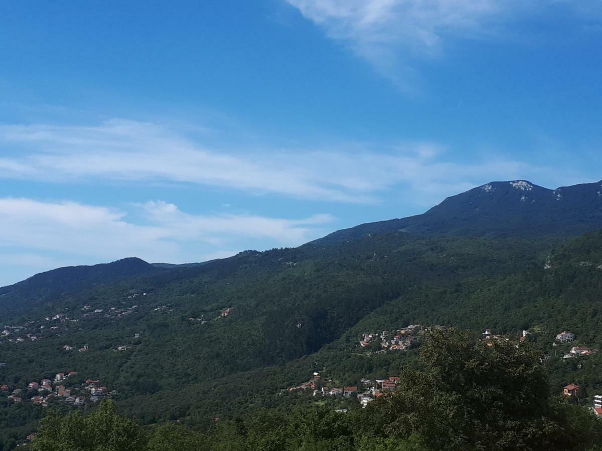 Apartment Koric Οπατία Εξωτερικό φωτογραφία